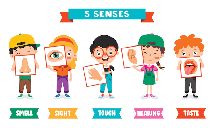 five senses